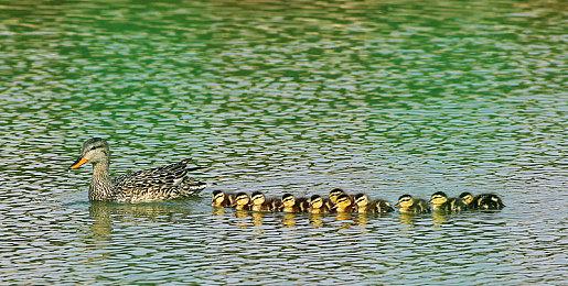 雨与血：《影之刃零》发布龙年特别动画短片！